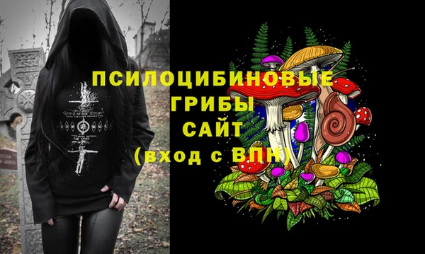 mix Вяземский