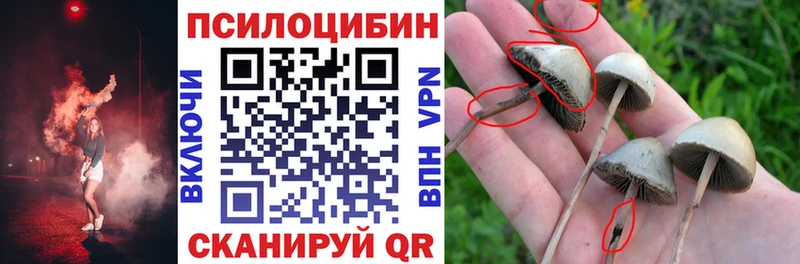 мега как войти  Калач  Галлюциногенные грибы мухоморы 